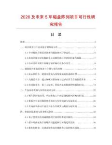 2026及未來5年磁盤陳列項目可行性研究報告