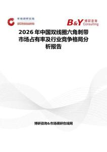 2026年中國雙線圈六角刺帶市場占有率及行業競爭格局分析報告