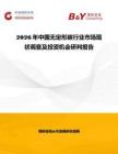 2026年中國無定形碳行業(yè)市場現(xiàn)狀調(diào)查及投資機會研判報告