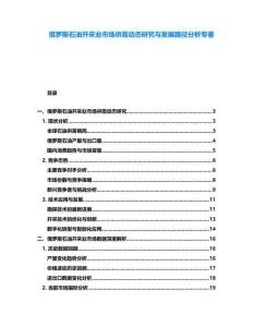 俄羅斯石油開采業市場供需動態研究與發展路徑分析專著