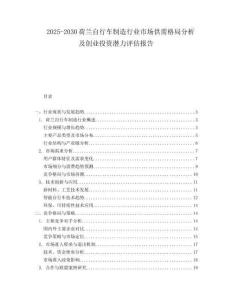 2025-2030荷蘭自行車制造行業市場供需格局分析及創業投資潛力評估報告