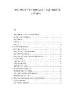 2025-2030軟件著作權(quán)登記流程與知識(shí)產(chǎn)權(quán)保護(hù)建議研究報(bào)告