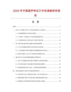 2025年中國超聲料位計市場調查研究報告