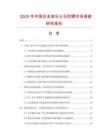 2025年中國合金音樂火石陀螺市場調查研究報告