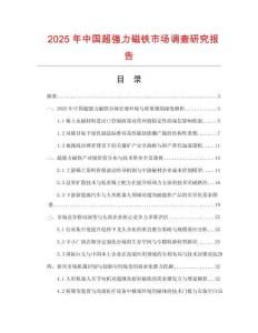 2025年中國超強力磁鐵市場調查研究報告