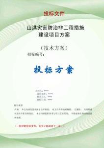 2026年山洪災(zāi)害防治非工程措施建設(shè)項目方案投標(biāo)文件（技術(shù)標(biāo)）