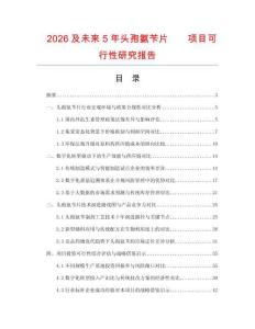 2026及未来5年头孢氨苄片项目可行性研究报告
