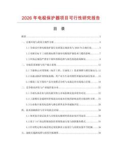 2026年電極保護器項目可行性研究報告