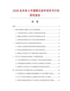 2026及未來5年貓眼石掛件項目可行性研究報告