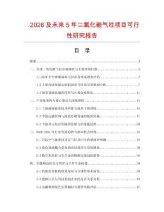 2026及未來5年二氧化碳氣柱項目可行性研究報告