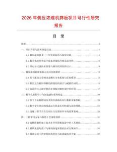 2026年側壓濃縮機篩板項目可行性研究報告