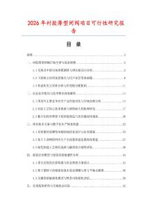 2026年襯膠薄型閘閥項目可行性研究報告