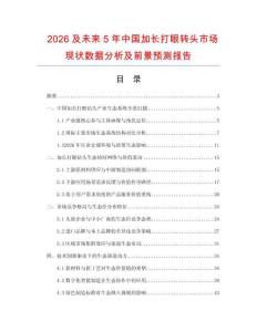 2026及未来5年中国加长打眼转头市场现状数据分析及前景预测报告