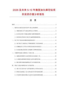 2026及未来5-10年微型加长麻花钻项目投资价值分析报告