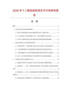 2026年十二眼拉线机项目可行性研究报告