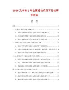 2026及未来5年金属钙块项目可行性研究报告