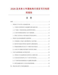2026及未來5年黑鐵角尺項目可行性研究報告