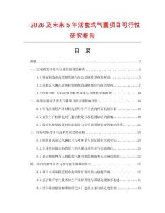 2026及未來5年活套式氣囊項目可行性研究報告