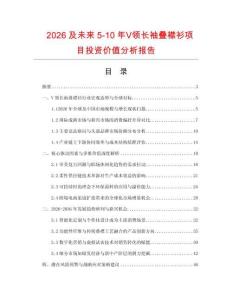 2026及未來5-10年Ⅴ領長袖疊襟衫項目投資價值分析報告