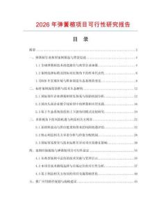 2026年彈簧楦項目可行性研究報告