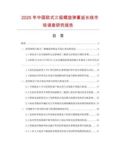 2025年中國歐式三極螺旋彈簧延長線市場調(diào)查研究報告