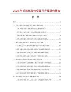 2026年釘珠化妝包項目可行性研究報告