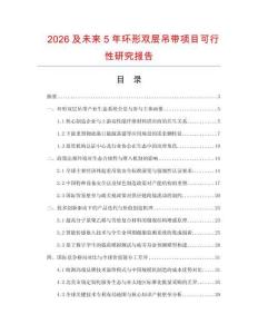 2026及未來5年環(huán)形雙層吊帶項(xiàng)目可行性研究報(bào)告