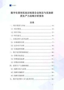 數字化營銷實戰訓練營企業制定與實施新質生產力戰略分析報告