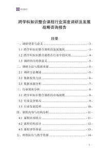 跨學科知識整合課程行業深度調研及發展戰略咨詢報告