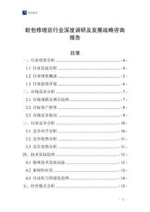 鞋包修理店行业深度调研及发展战略咨询报告