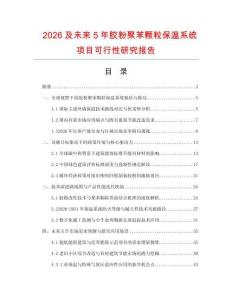 2026及未來5年膠粉聚苯顆粒保溫系統項目可行性研究報告