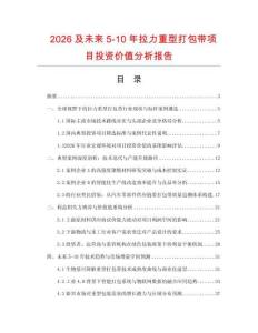 2026及未來5-10年拉力重型打包帶項目投資價值分析報告