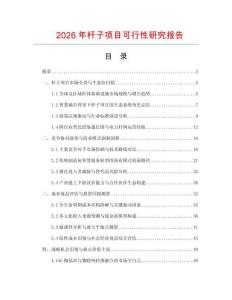 2026年桿子項目可行性研究報告