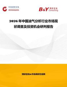 2026年中國油氣分析行業(yè)市場現(xiàn)狀調(diào)查及投資機會研判報告