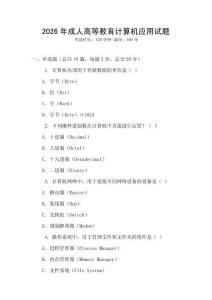 2026年成人高等教育計算機應用試題