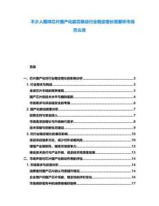 不少人期待芯片國產(chǎn)化能否推動行業(yè)穩(wěn)定增長需要聽市場怎么說