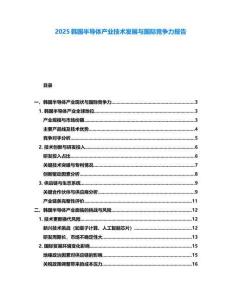 2025韓國半導體產業技術發展與國際競爭力報告