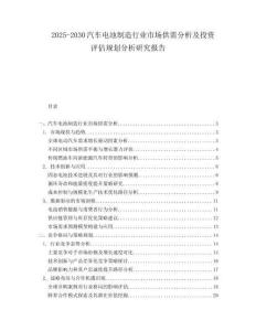 2025-2030汽車(chē)電池制造行業(yè)市場(chǎng)供需分析及投資評(píng)估規(guī)劃分析研究報(bào)告