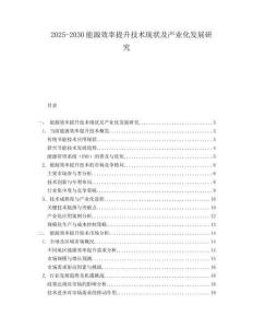 2025-2030能源效率提升技術(shù)現(xiàn)狀及產(chǎn)業(yè)化發(fā)展研究
