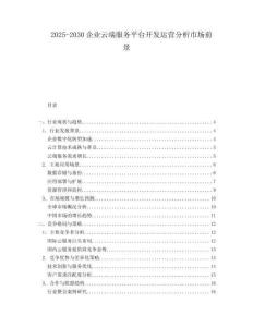 2025-2030企業(yè)云端服務(wù)平臺(tái)開發(fā)運(yùn)營(yíng)分析市場(chǎng)前景