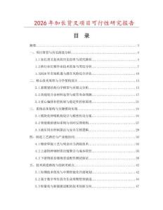 2026年加長貨叉項目可行性研究報告
