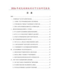 2026年碳化硅棚塊項目可行性研究報告