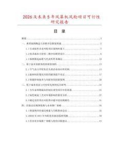 2026及未來5年風幕機風輪項目可行性研究報告