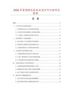 2026年重型錐孔鉆夾頭項目可行性研究報告