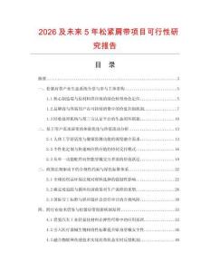 2026及未來5年松緊肩帶項目可行性研究報告