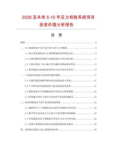 2026及未來5-10年壓力校驗系統項目投資價值分析報告