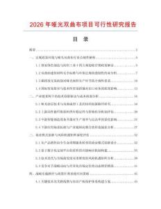 2026年啞光雙曲布項目可行性研究報告