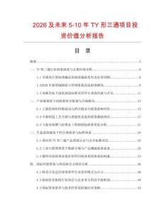 2026及未來5-10年TY形三通項目投資價值分析報告