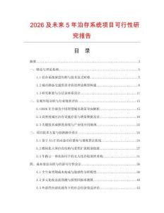 2026及未來(lái)5年泊存系統(tǒng)項(xiàng)目可行性研究報(bào)告