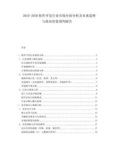 2025-2030軟件開發行業市場全面分析及未來趨勢與商業價值預判報告